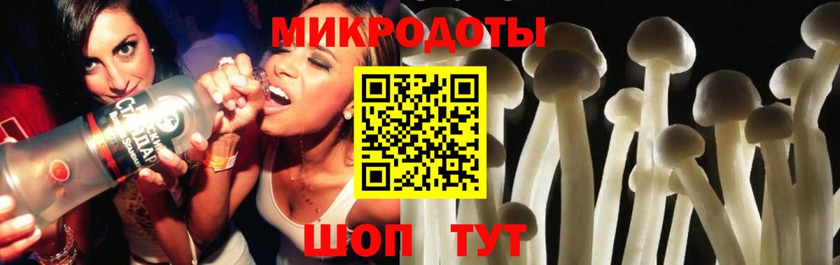 Псилоцибиновые грибы прущие грибы Кыштым